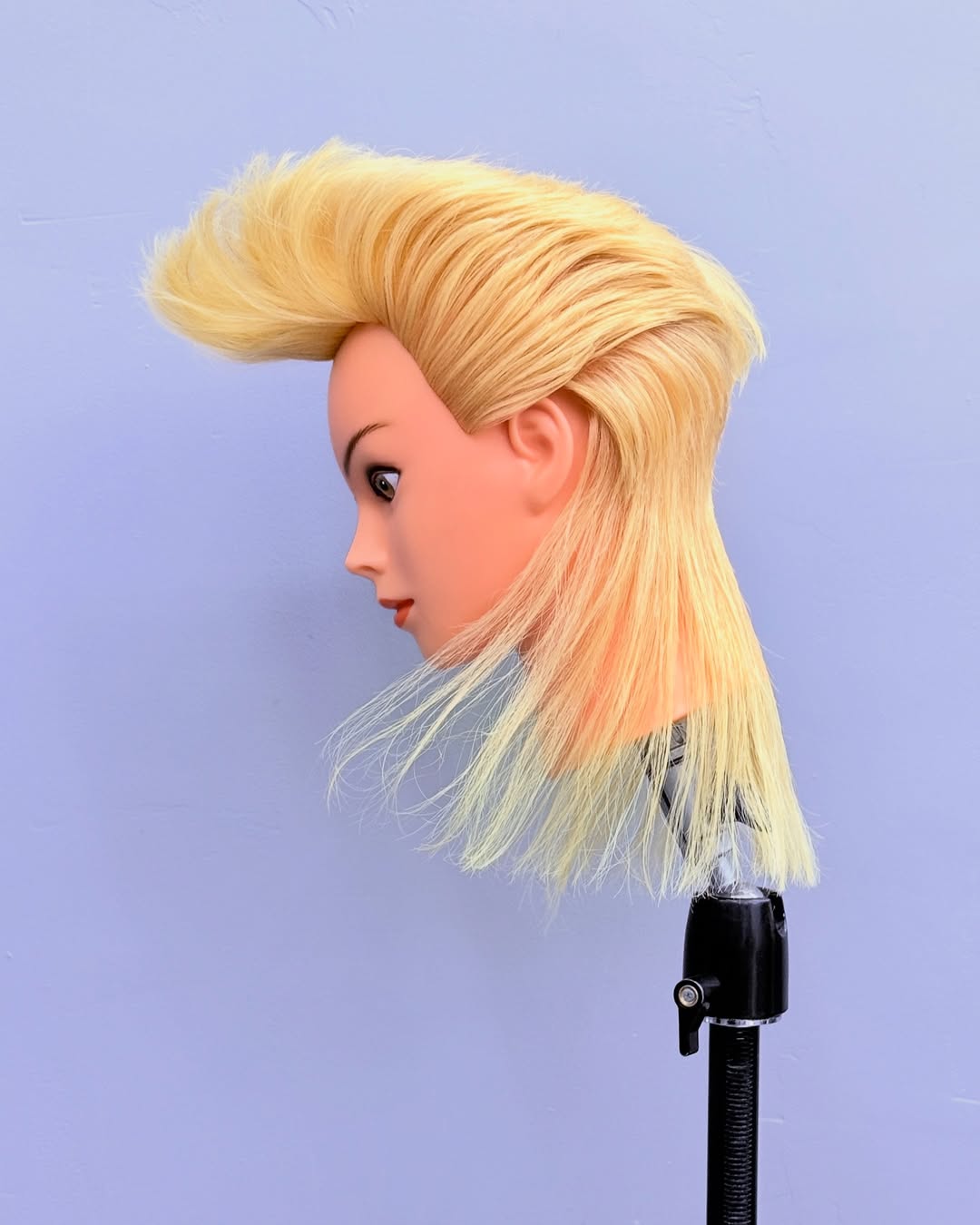   L’OUTIL DU FORMATEUR MODERNE  EXALTO est...